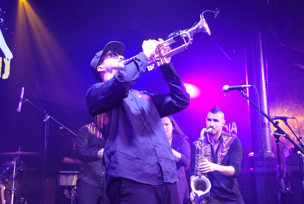 Imagen del espectáculo -  GATA BRASS BAND 