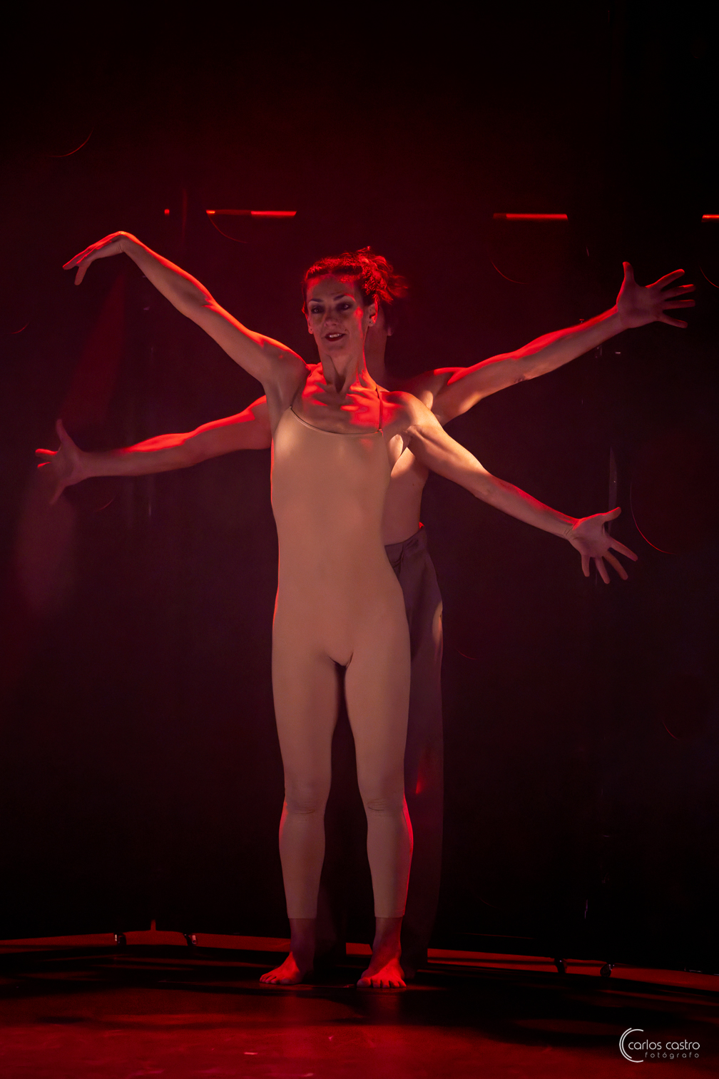 Imagen del espectáculo -  Homo Faber