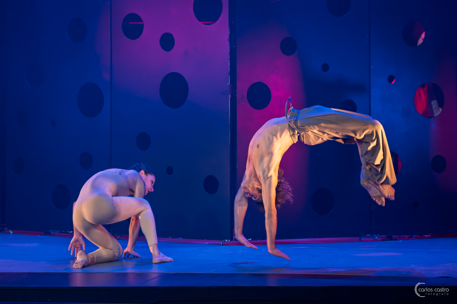 Imagen del espectáculo -  Homo Faber