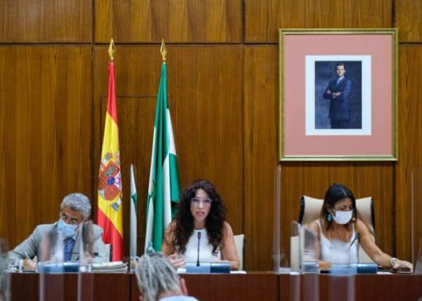 Ruiz destaca la importancia de preservar el sector de la dependencia en la convalidación en el Parlamento del Decreto Ley de ayudas a las entidades