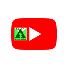 Canal Youtube Colegio