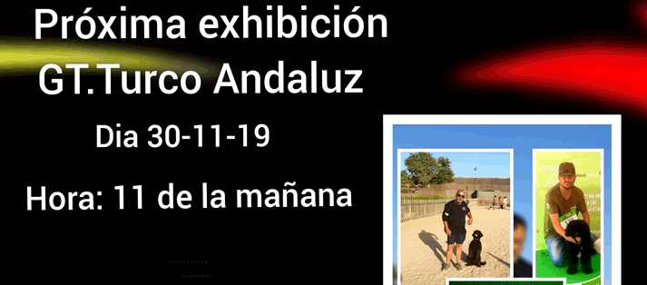 Exhibición de turcos andaluces el 30 de noviembre en el Parque de Los Toruños