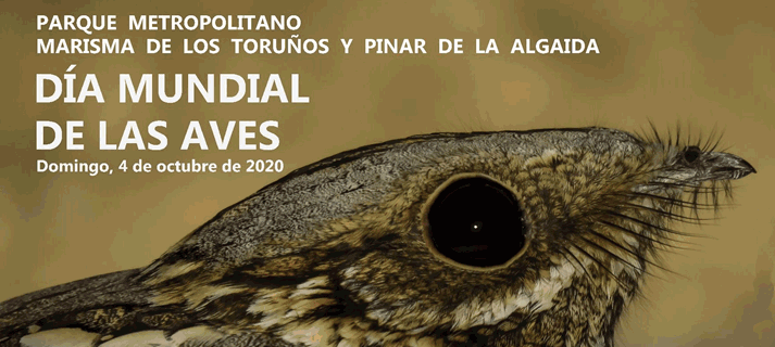Amplio programa de actividades para celebrar el Día Mundial de las Aves en Los Toruños