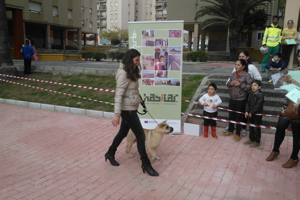  Saladillo-Piñera. Algeciras (Cádiz). Proyecto piloto “Construyendo ciudadanía”