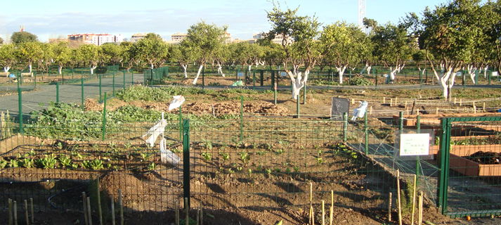 Parque del Alamillo