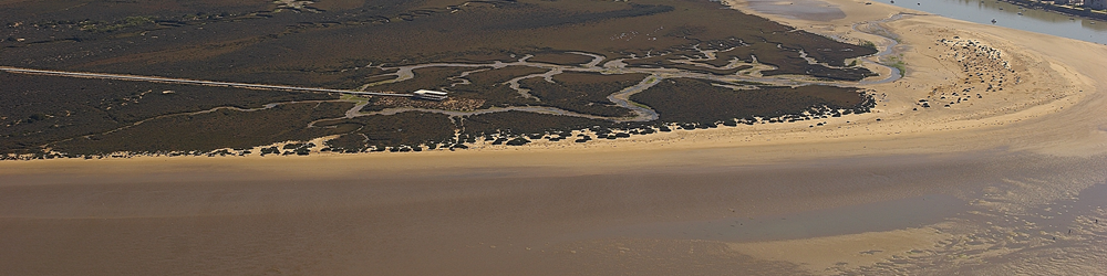 Acceso Casa Toruños