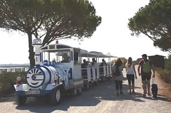  TREN A LA PLAYA DE LEVANTE