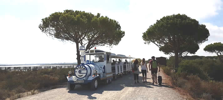El tren de la playa de Levante vuelve a prestar servicio entre el 25 de junio y el 30 de agosto
