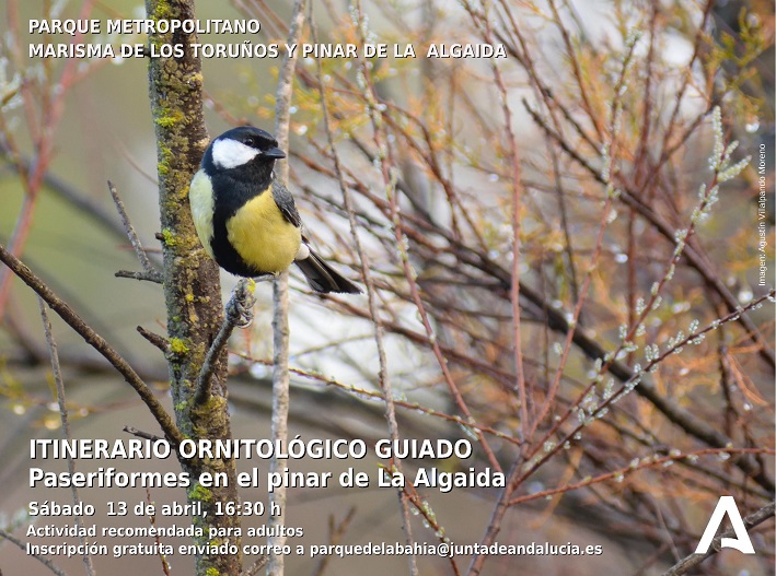 El Parque de Los Toruños organiza para esta primavera cuatro itinerarios ornitológicos guiados por la Algaida