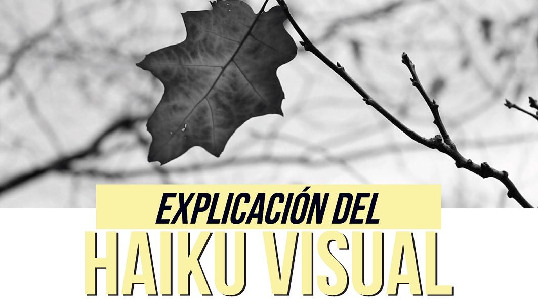 haiku_visual