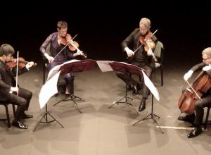 Cuarteto Diotima (Fotografía: María Marí-Pérez)