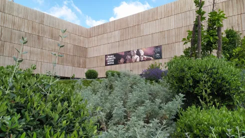Museo Íbero