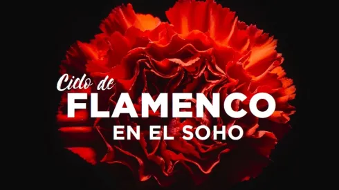 cartel ciclo flamenco