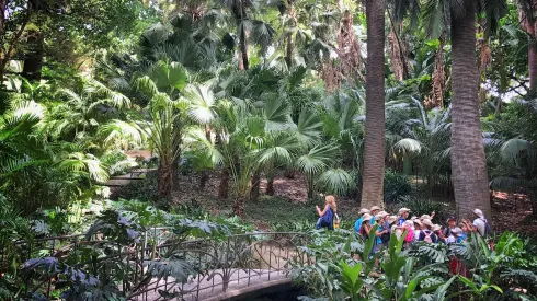 Personas visitando un jardín botánico
