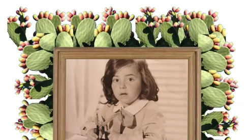 Animalitos. Una historia trocha