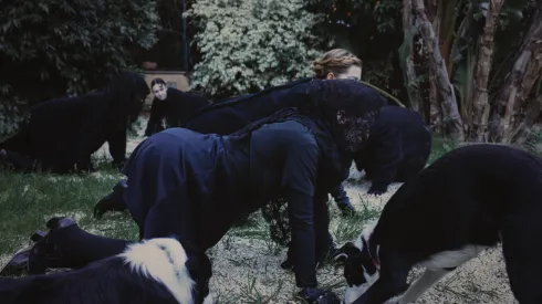Mujeres vestidas de negro en cuadrupedia junto a perros sobre un bosque