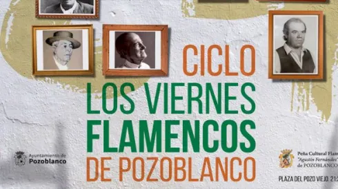 viernes-flamencos-pozoblanco-g-660x330.jpg