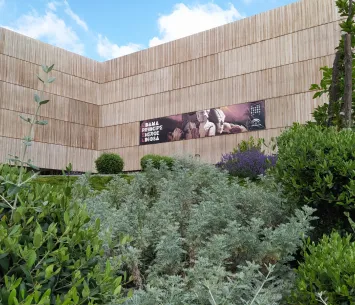 Museo Íbero