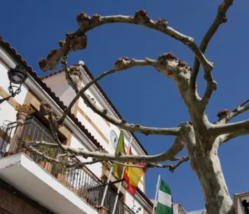 Ayuntamiento De Bedmar Y Garcíez