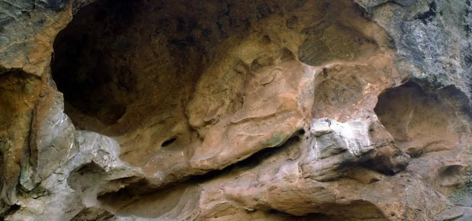 Acceso a la cueva. Fondo Gráfico del Instituto Andaluz del Patrimonio Histórico (Autor: Morón, José)