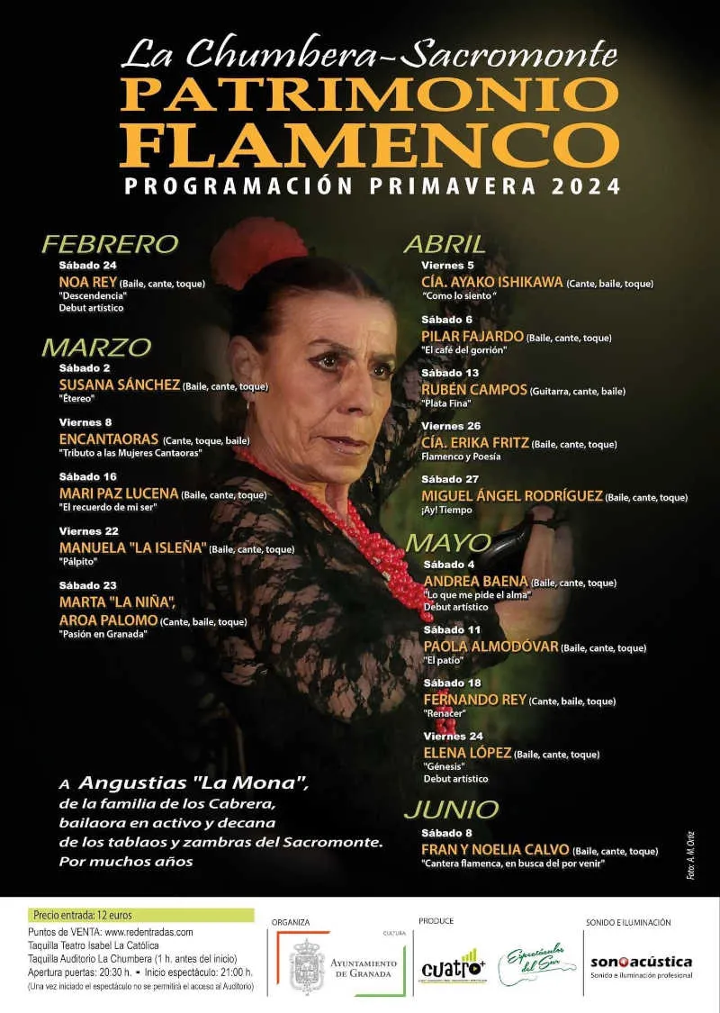 Cartel espectáculos flamencos