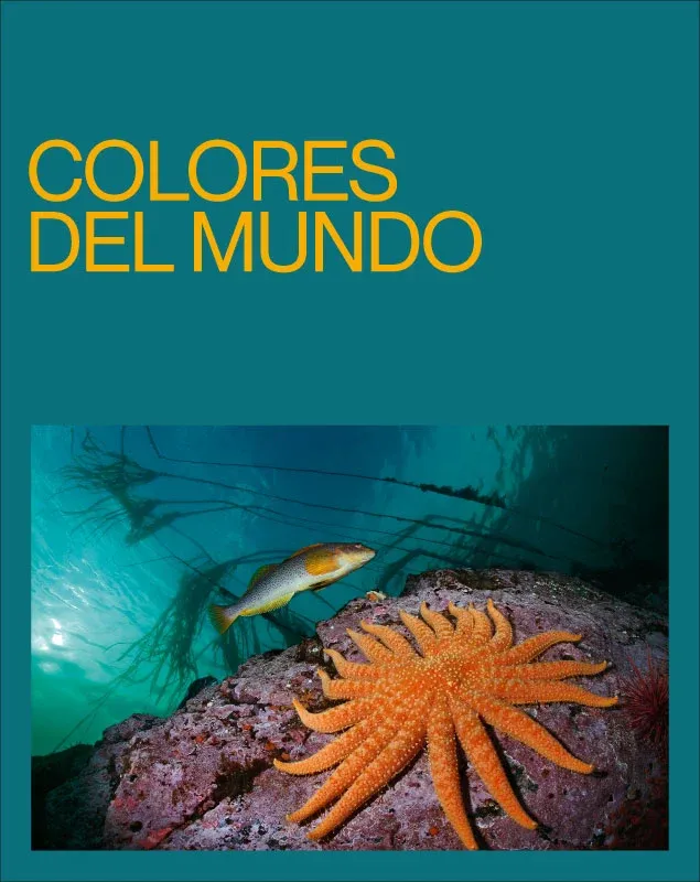 Colores del mundo