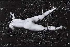 Daido Moriyama. Kagerou, 1972