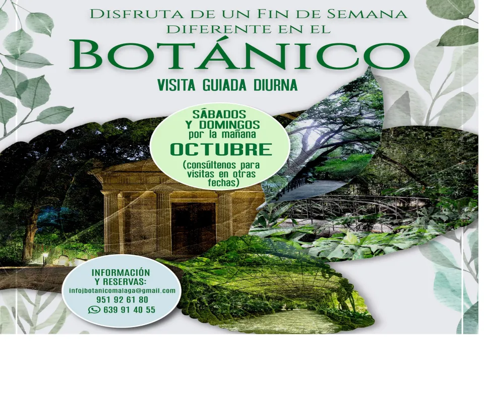 Visita guiada diurna en el JBH La Concepción