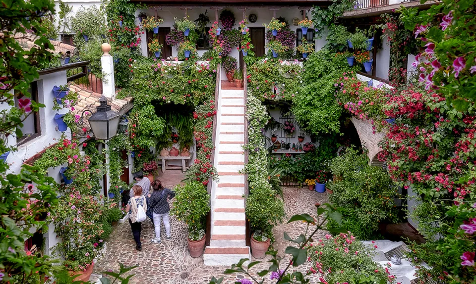 Fiesta de los Patios de Córdoba