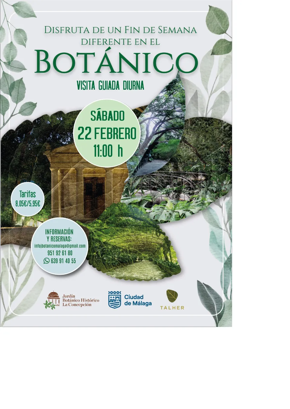 Visita Guiada 22 febrero