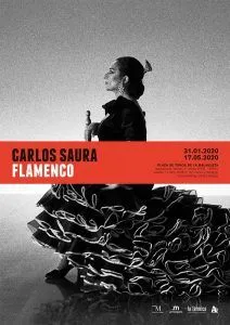 cartel-expo-flamenco-carlos-saura-212x300.jpg