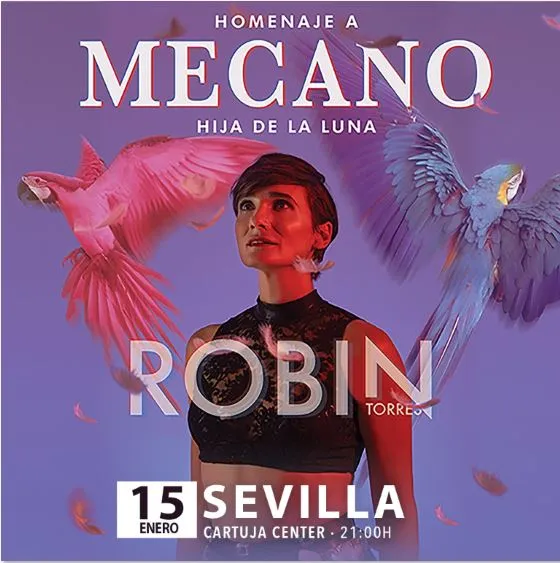 mecano.jpg