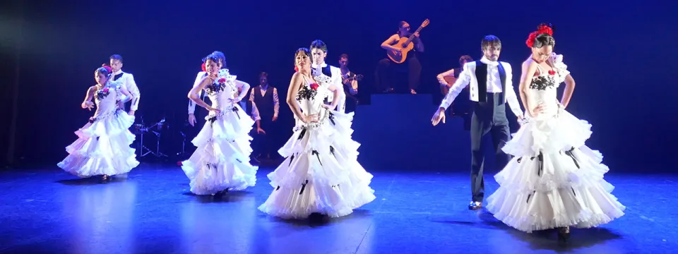 ballet_flamenco_andalucia_banner.jpg