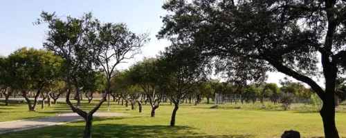 Parque del Alamillo