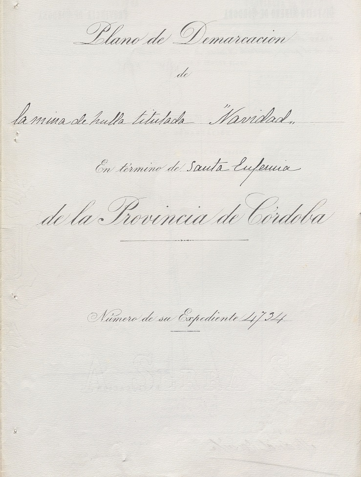 MinaNavidad