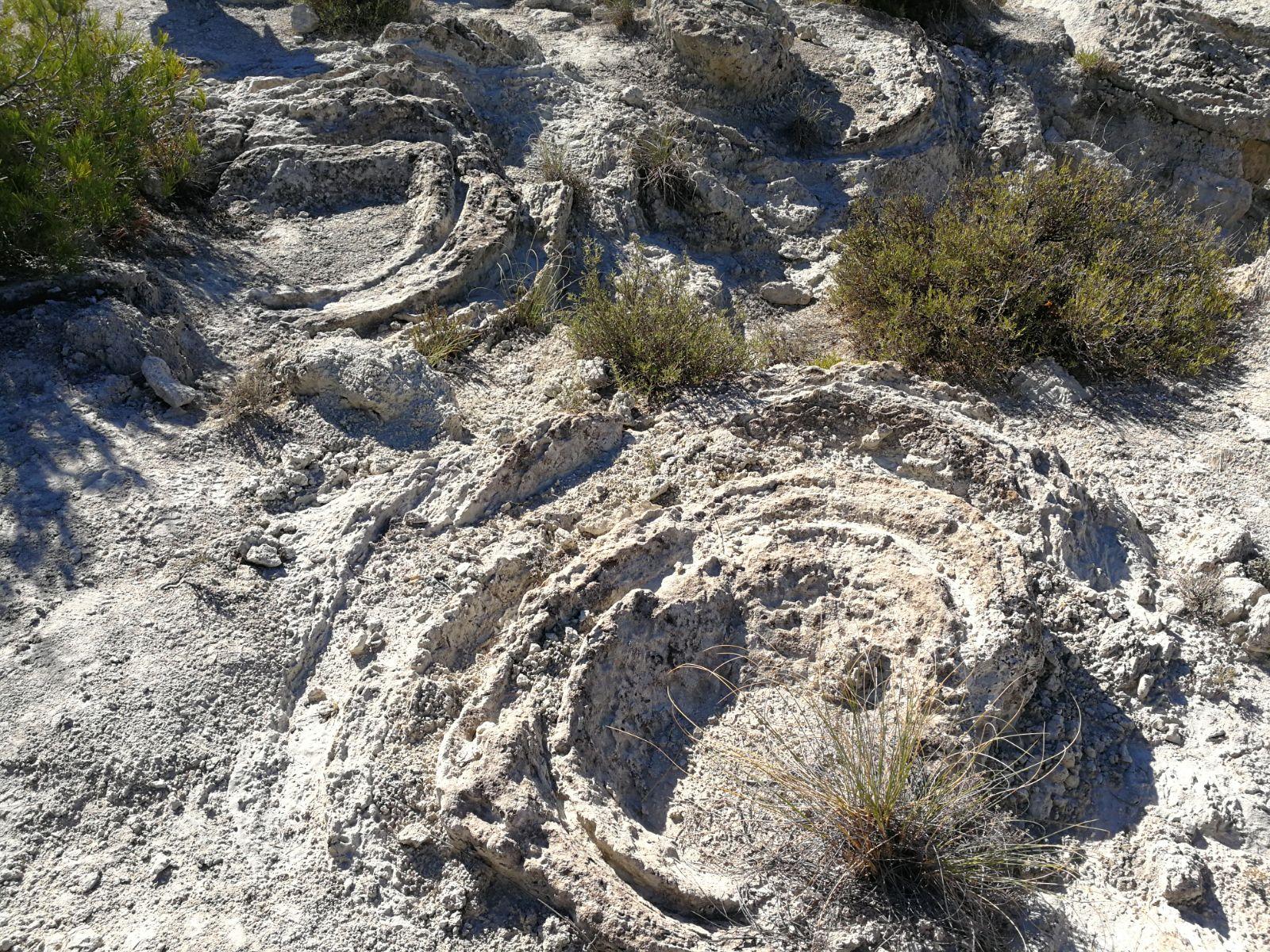 Paleosismitas, círculos concéntricos de arenisca blanca