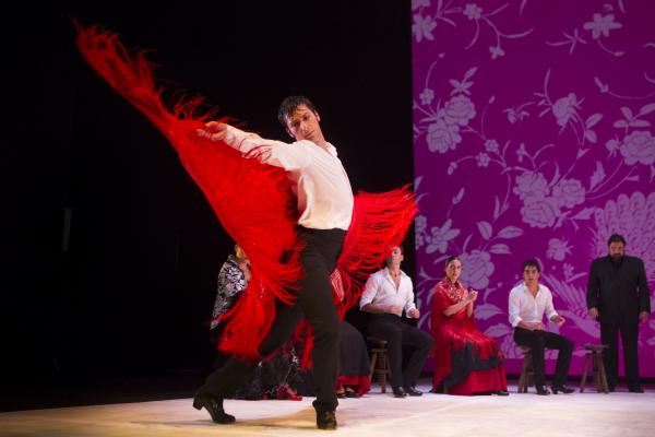 Imágenes. 20 años del Ballet Flamenco de Andalucía