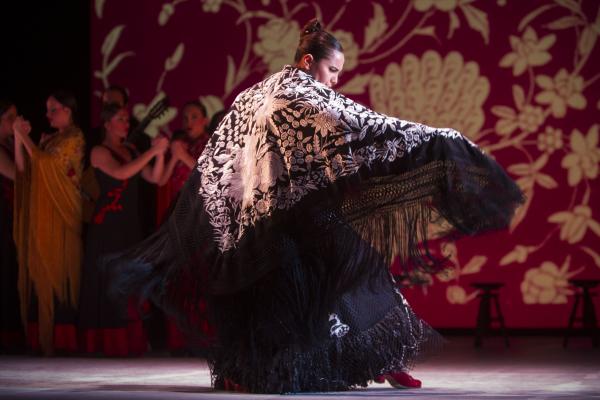 Imágenes. 20 años del Ballet Flamenco de Andalucía