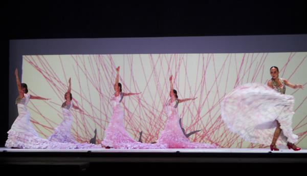 Imágenes. 20 años del Ballet Flamenco de Andalucía
