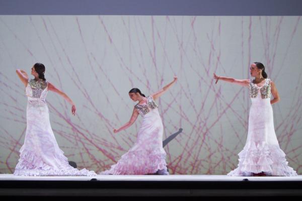 Imágenes. 20 años del Ballet Flamenco de Andalucía