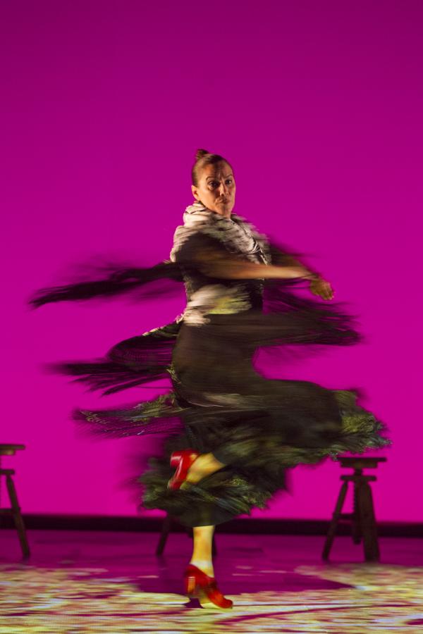 Imágenes. 20 años del Ballet Flamenco de Andalucía