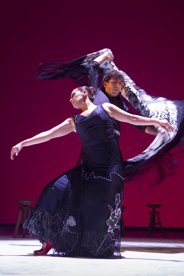 Imágenes. 20 años del Ballet Flamenco de Andalucía