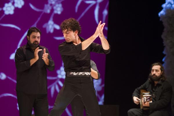 Imágenes. 20 años del Ballet Flamenco de Andalucía
