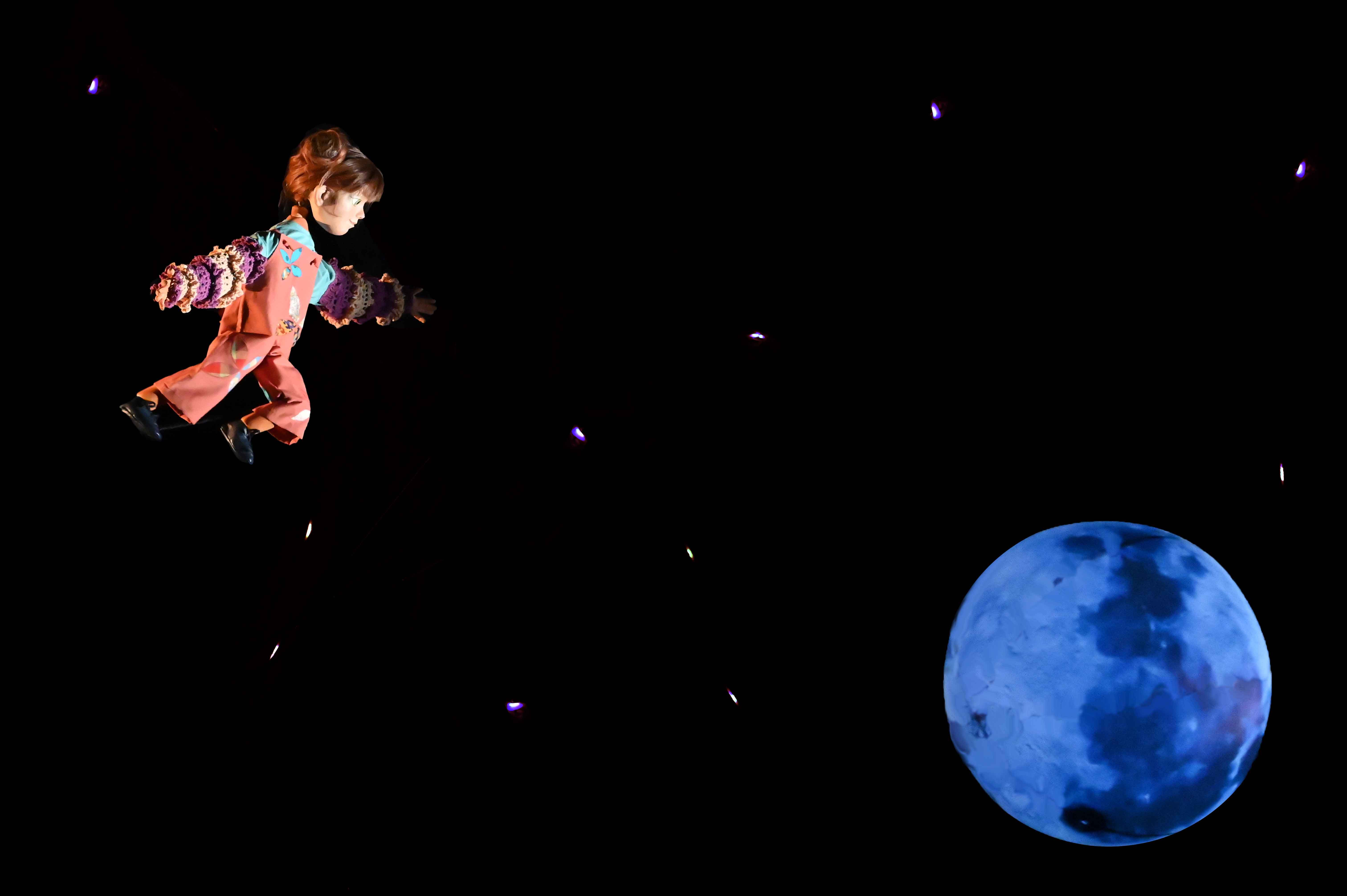 Imagen del espectáculo -  el bosque de coco