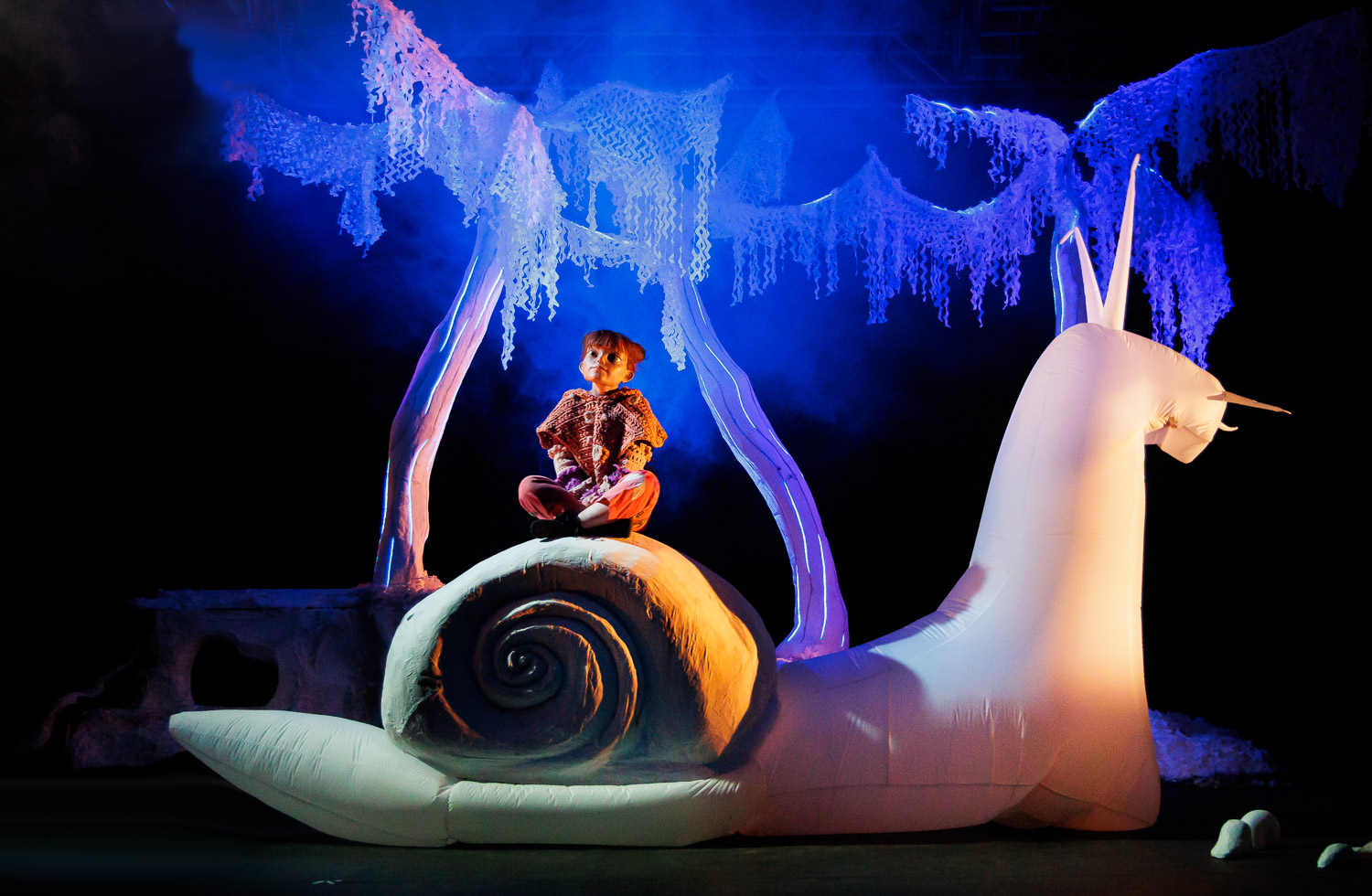 Imagen del espectáculo -  el bosque de coco