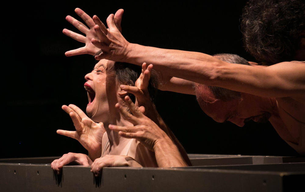 imagen de la compañía - Compañía Danza Mobile