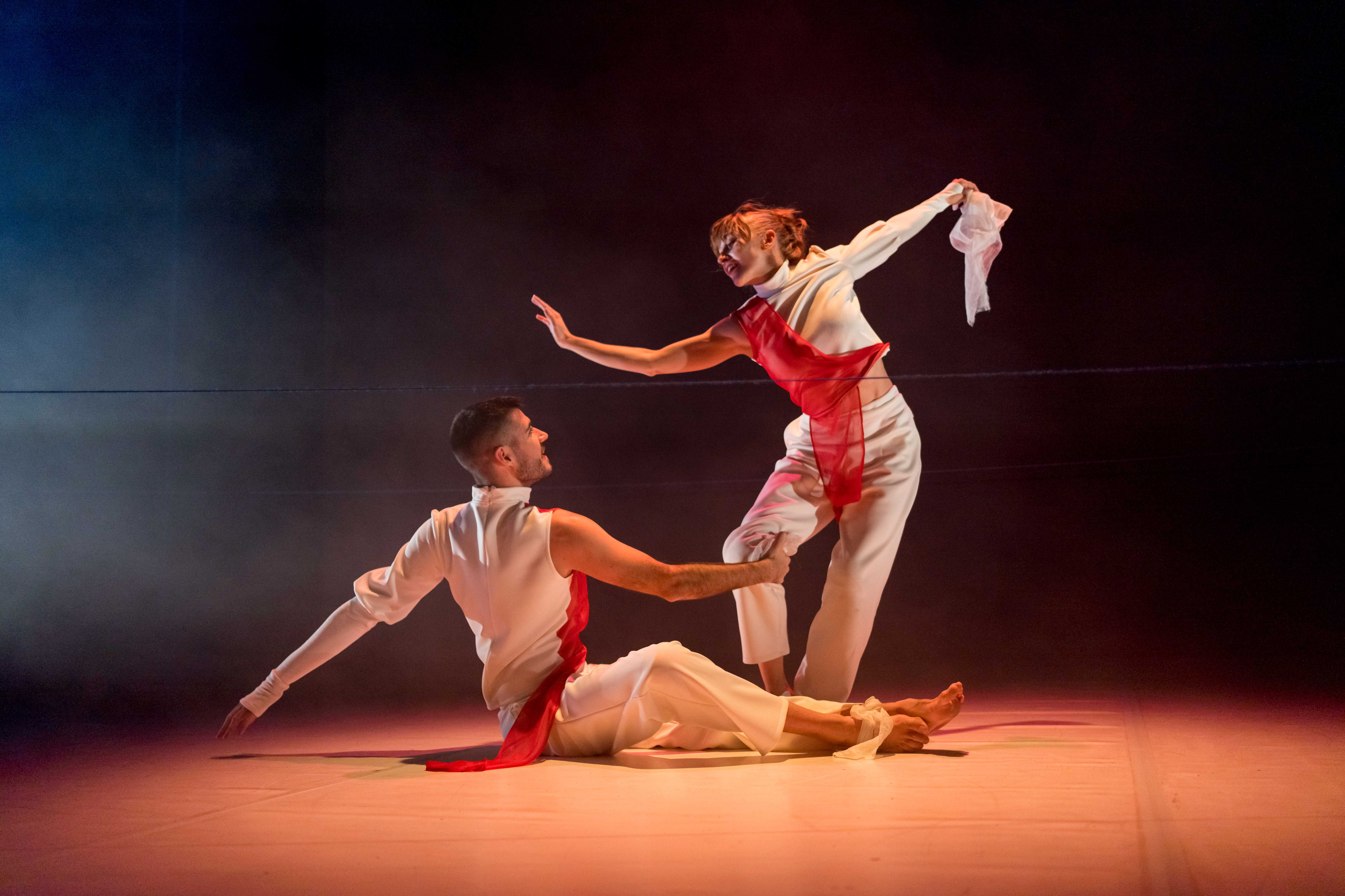 imagen de la compañía - Da.Te Danza