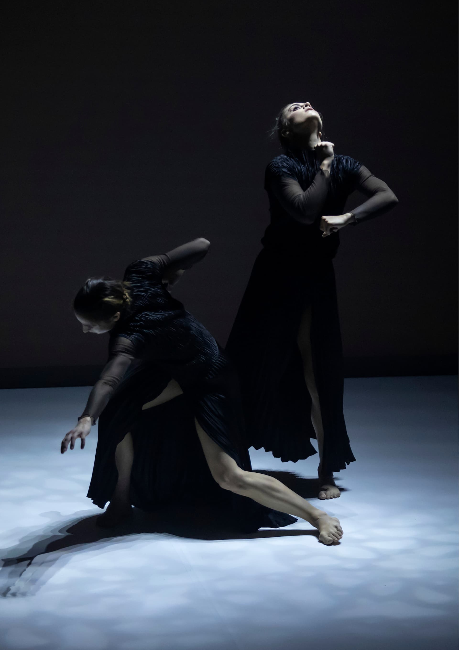 imagen de la compañía - C-Art Dance