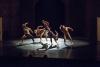 Celebramos el Día Internacional de la Danza