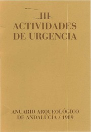 AAA_1989_5101_ojedacalvo_ojedacalvo,maríareyes_sevilla.pdf.jpg